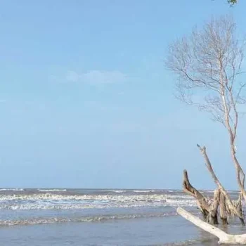 Pantai Muara Beting: Wisata Alam Menakjubkan di Tengah Keindahan Alam