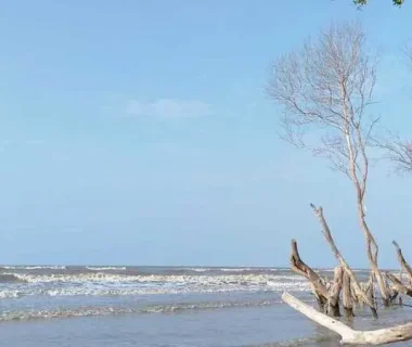Pantai Muara Beting: Wisata Alam Menakjubkan di Tengah Keindahan Alam